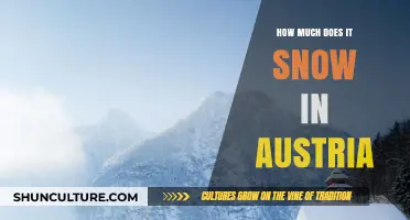 Austria's Snowfall: A Winter Wonderland's Weather Guide