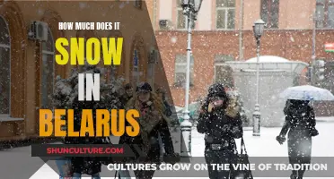 Belarus Winters: Snowfall Expectations and Realities