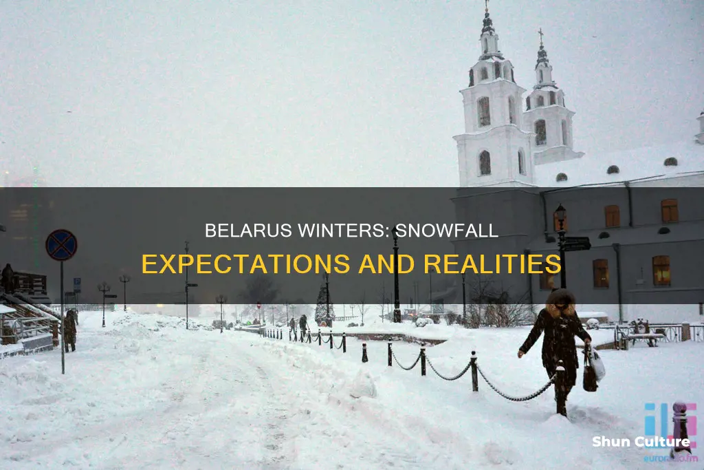 how much does it snow in belarus