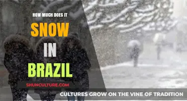 Does It Snow in Brazil? Exploring the Country's Rare Winter Weather