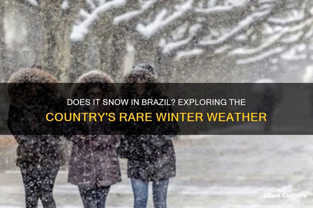 how much does it snow in brazil