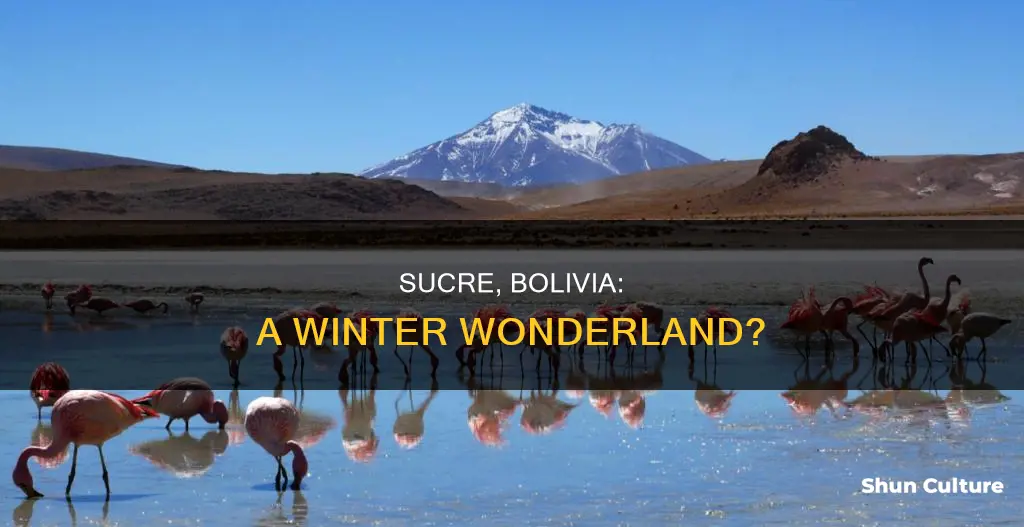 how much does it snow in sucre bolivia