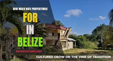 Belize's Real Estate Market: A Tropical Paradise Within Reach