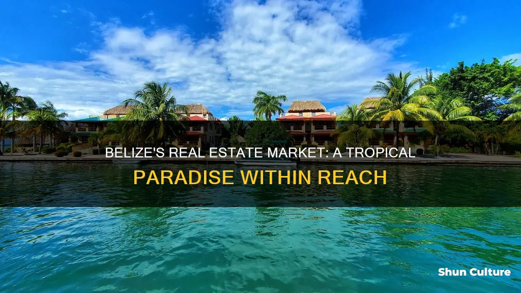 how much does propertymgo for in belize