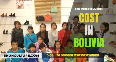 Exploring Education Costs in Bolivia: School Fees Explained