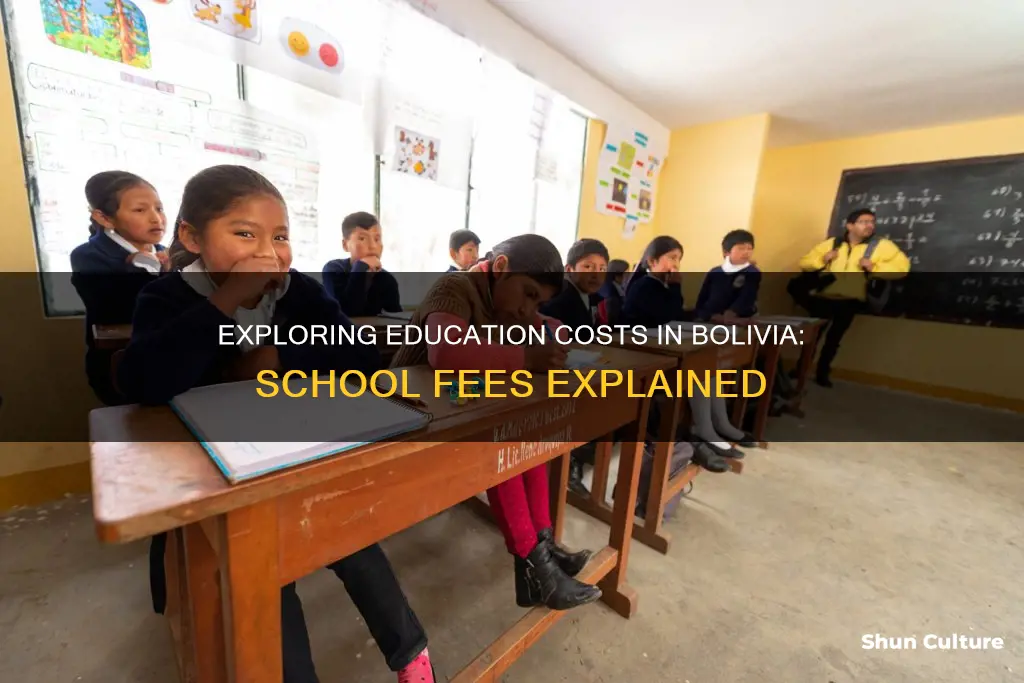 how much does school cost in bolivia