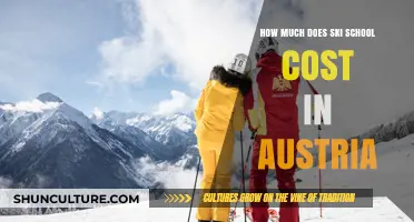 Uncover the Cost of Skiing in Austria: A Guide to Ski School Fees