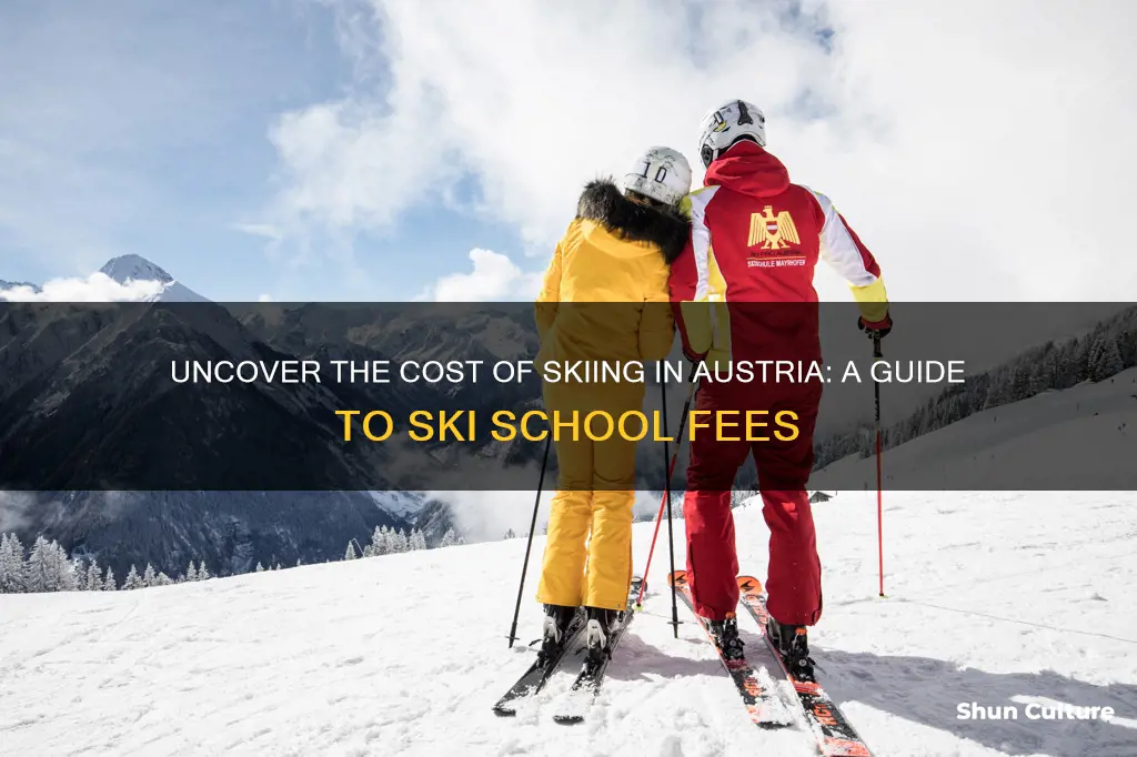 how much does ski school cost in austria