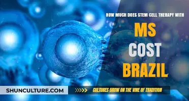 Stem Cell Therapy for MS in Brazil: Cost Breakdown