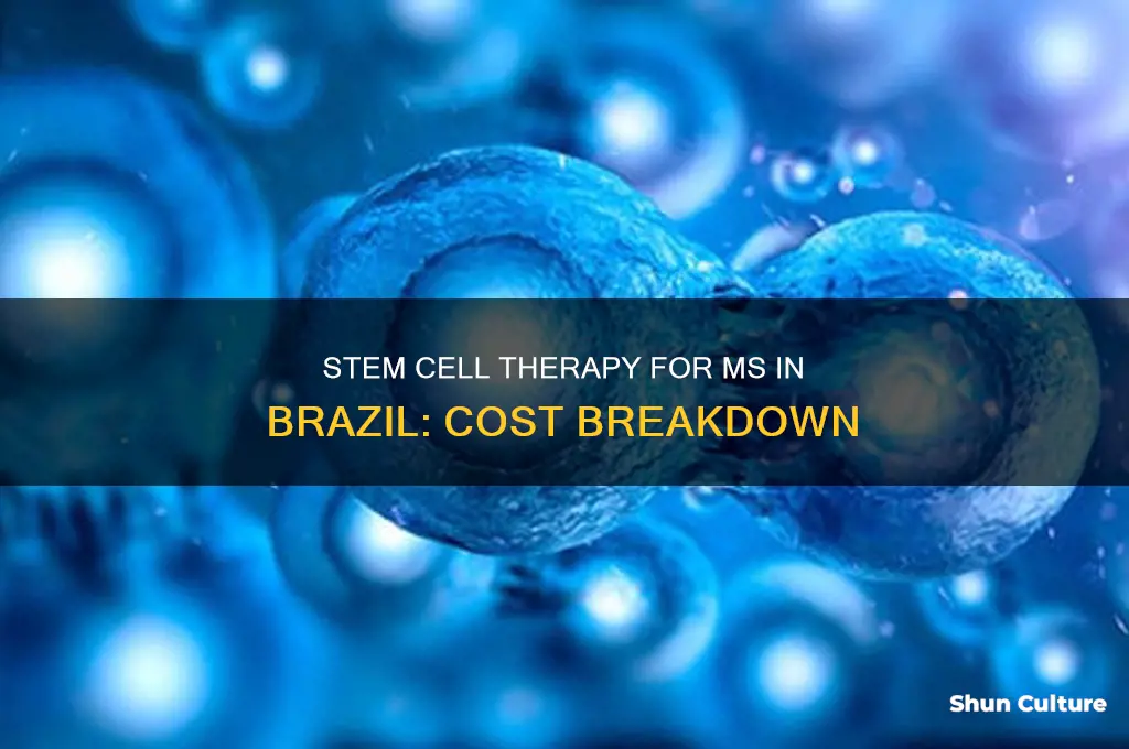 how much does stem cell therapy with ms cost brazil
