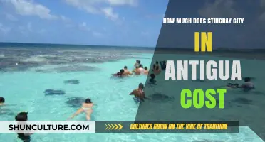 Stingray City Antigua: Cost Guide for an Unforgettable Adventure