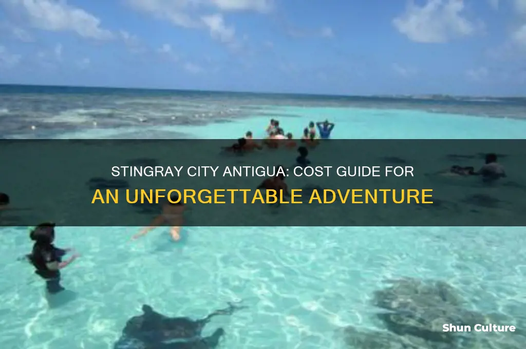 how much does stingray city in antigua cost