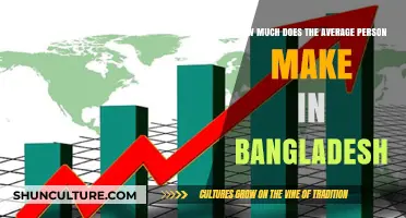 Average Income in Bangladesh: Understanding Earnings and Economic Realities