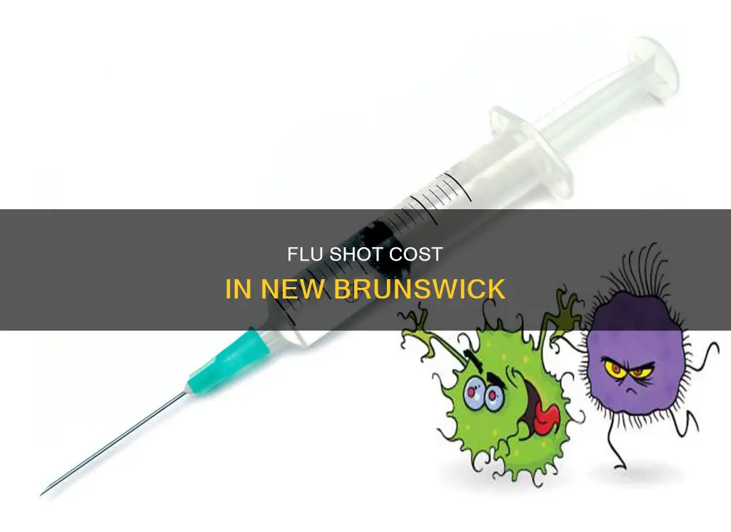 how much does the flu shot cost in new brunswick