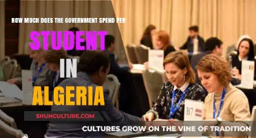 Algeria's Education Investment: Analyzing Government Spending Per Student
