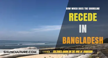 Bangladesh's Shoreline Retreat: Measuring Coastal Erosion's Impact Annually
