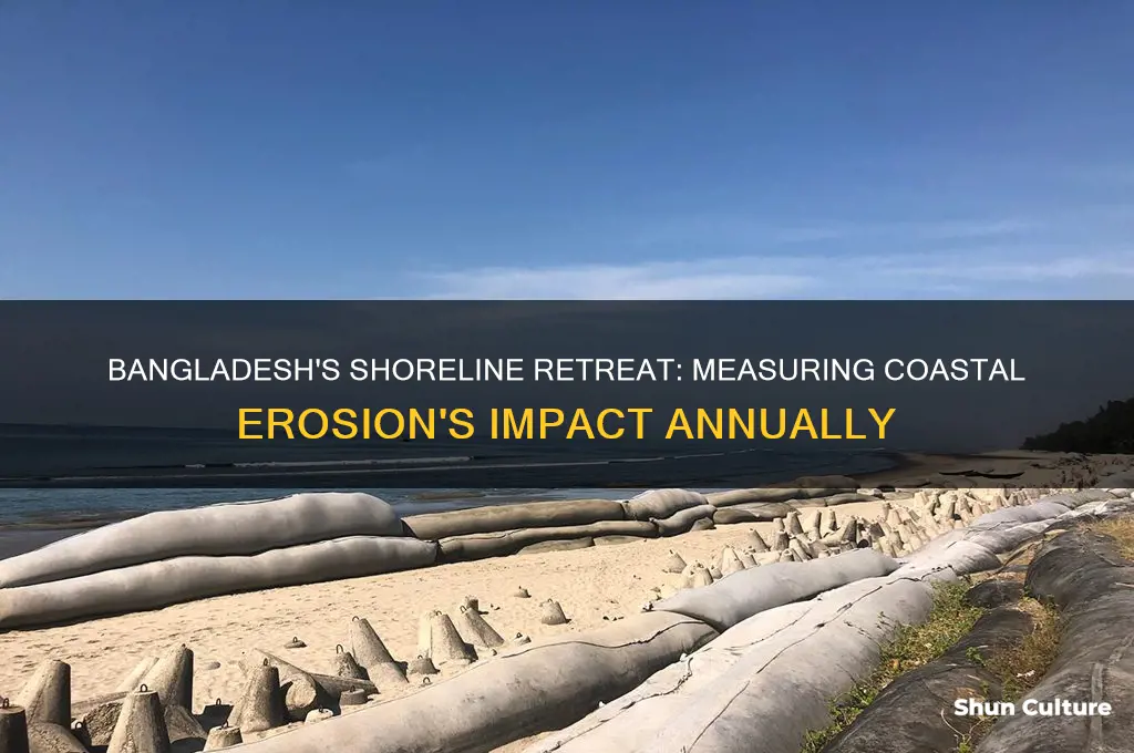 how much does the shoreline recede in bangladesh