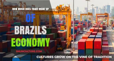 Brazil's Economy: Trade's Role and Impact on National Growth