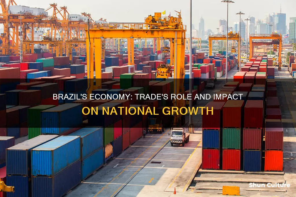 how much does trade make up of brazils economy