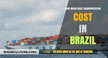 Exploring Brazil's Transportation Costs: A Comprehensive Budget Guide