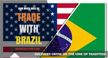 Exploring the Scale of US-Brazil Trade: A Comprehensive Analysis