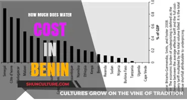 Exploring the Cost of Water in Benin: A Comprehensive Guide