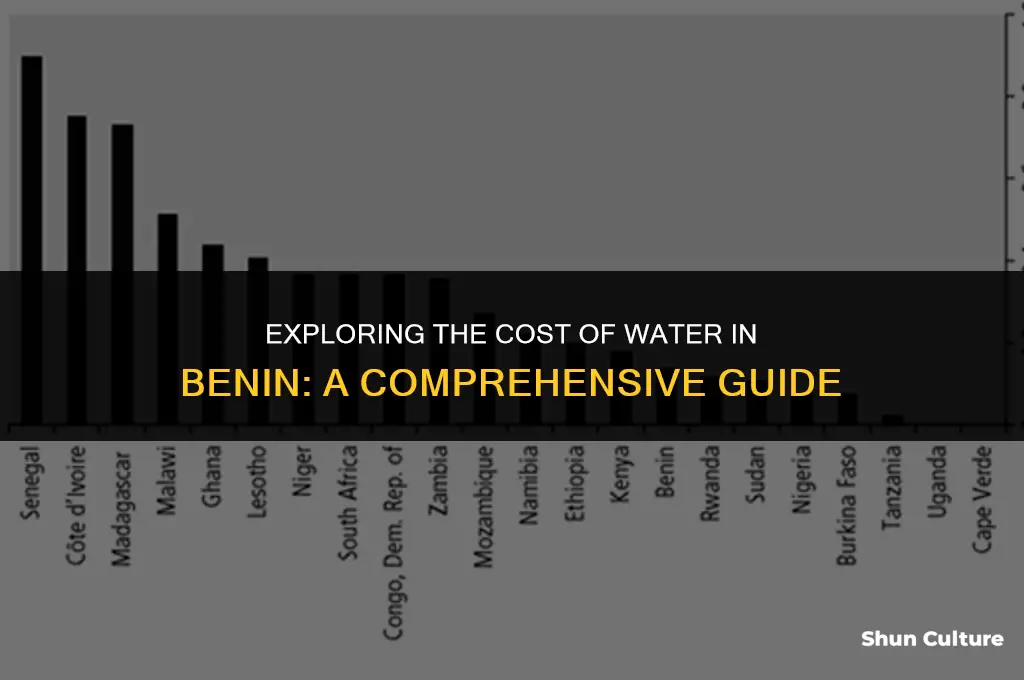 how much does water cost in benin