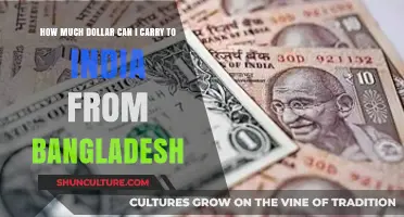 Traveling to India? Know Your Dollar Limits from Bangladesh