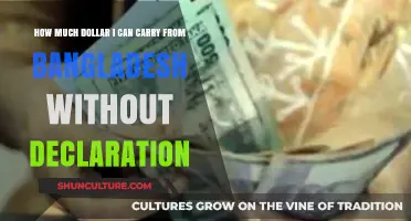Traveling Abroad: Dollar Limits from Bangladesh Without Declaration Explained