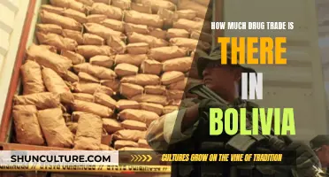 Bolivia's Drug Trade: A Deep-Rooted Problem