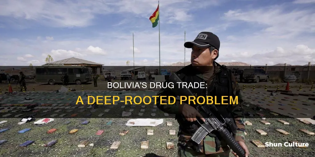 how much drug trade is there in bolivia