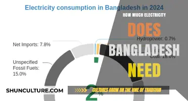Bangladesh's Growing Energy Demand: How Much Electricity is Needed?