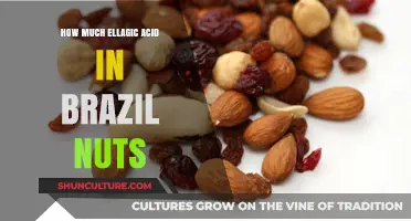Ellagic Acid in Brazil Nuts: Uncovering Nutritional Benefits and Content