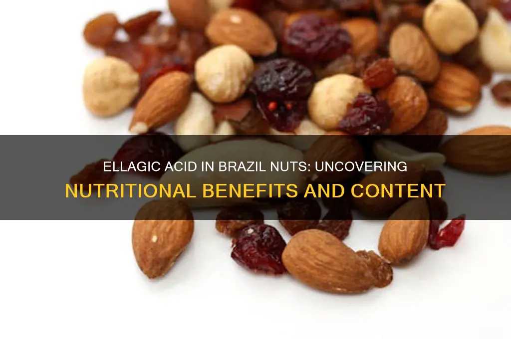 how much ellagic acid in brazil nuts