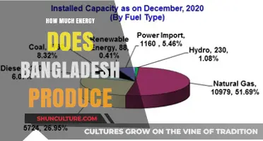 Bangladesh's Energy Production: Sources, Capacity, and Future Outlook
