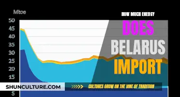 Belarus' Energy Imports: Where, Why, and How Much?