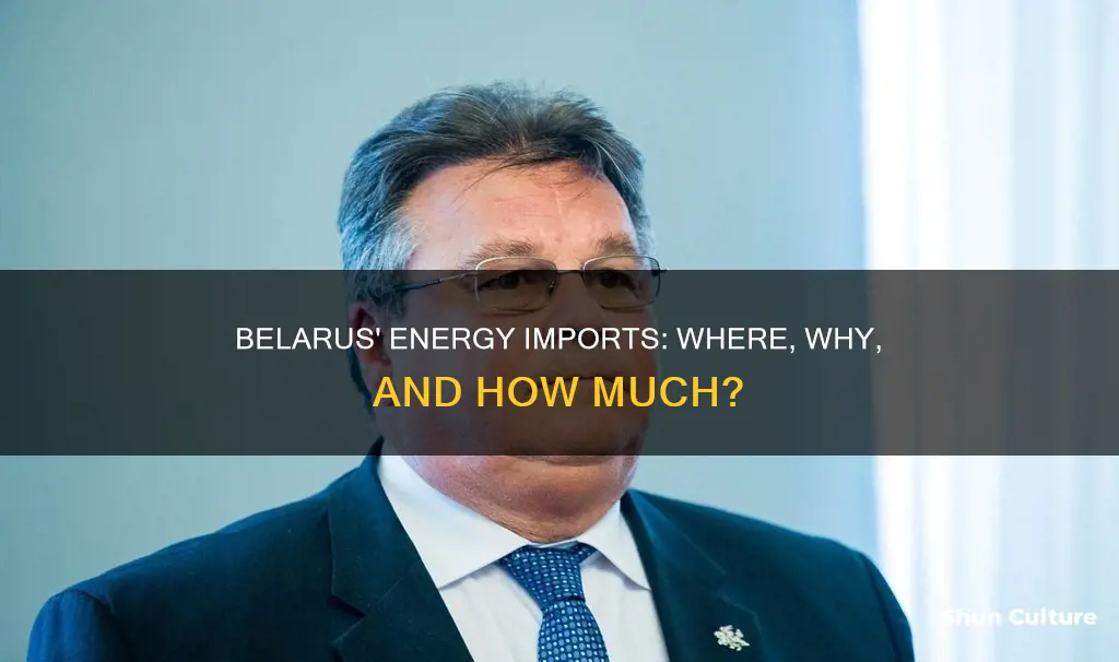 how much energy does belarus import