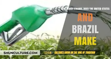 Ethanol Production in the US and Brazil: A Comparative Analysis