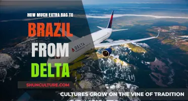 Delta Airlines Baggage Fees for Extra Luggage to Brazil Explained