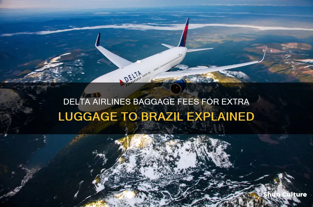 how much extra bag to brazil from delta