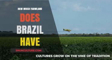 Brazil's Farmland: Exploring the Vast Agricultural Landscape and Acreage