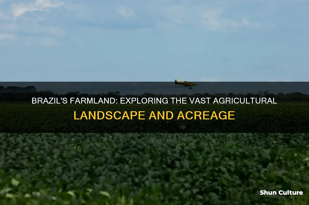 how much farmland does brazil have