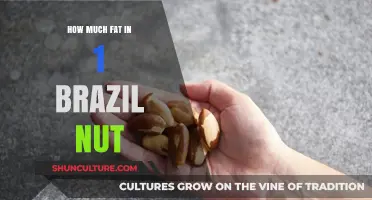 Brazil Nut Fat Content: Uncovering the Surprising Nutritional Value