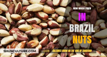 Discover the Surprising Fiber Content in Brazil Nuts: A Nutritional Guide