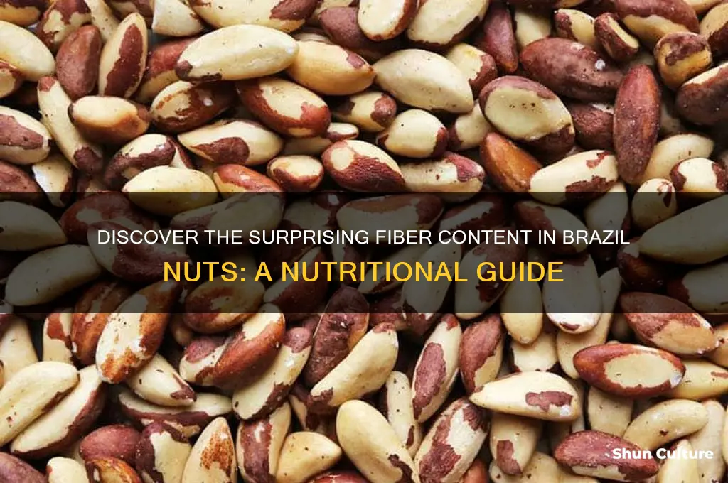 how much fiber in brazil nuts