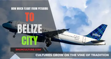 The Cost of Soaring Over Seas: Flights from Pittsburgh to Belize City