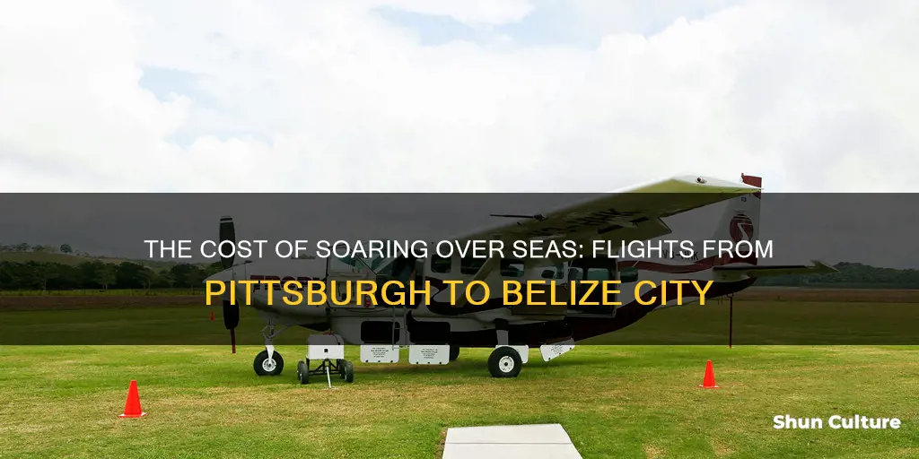 how much flight from pitsburg to belize city