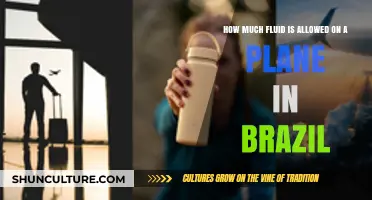 Brazil's In-Flight Liquid Rules: Allowed Fluid Quantities Explained