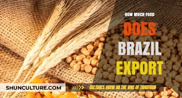 Brazil's Global Food Exports: Scale, Impact, and Economic Significance