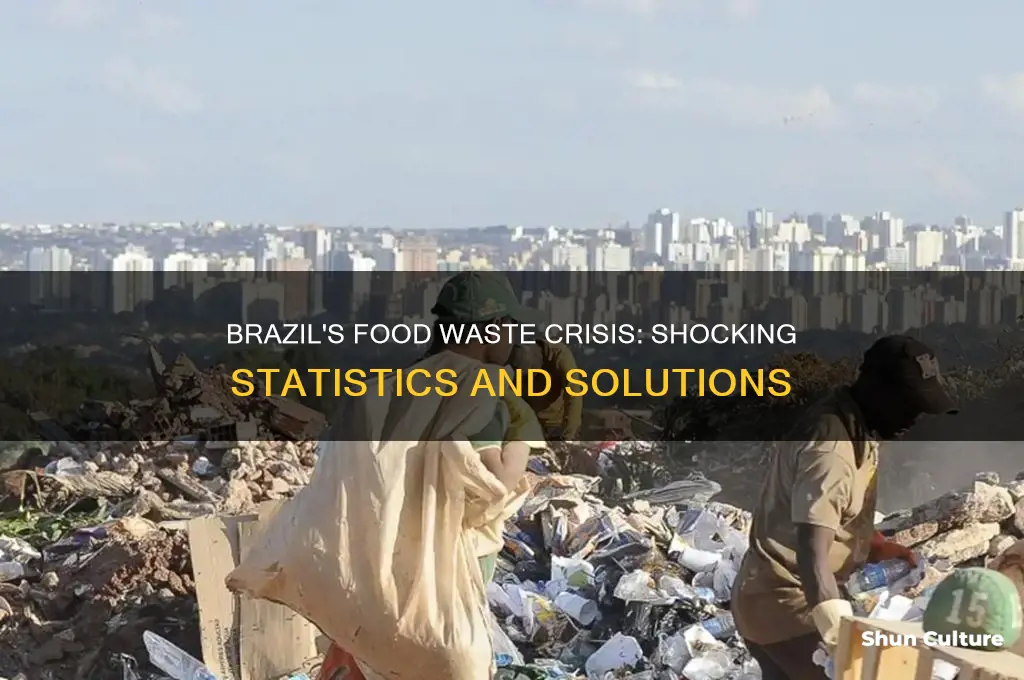 how much food is wasted in brazil